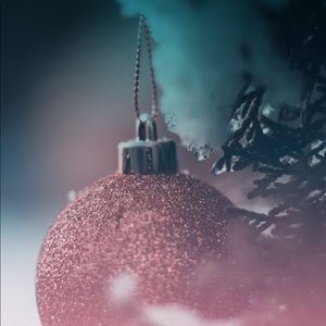 Meet your Posher, Maggie